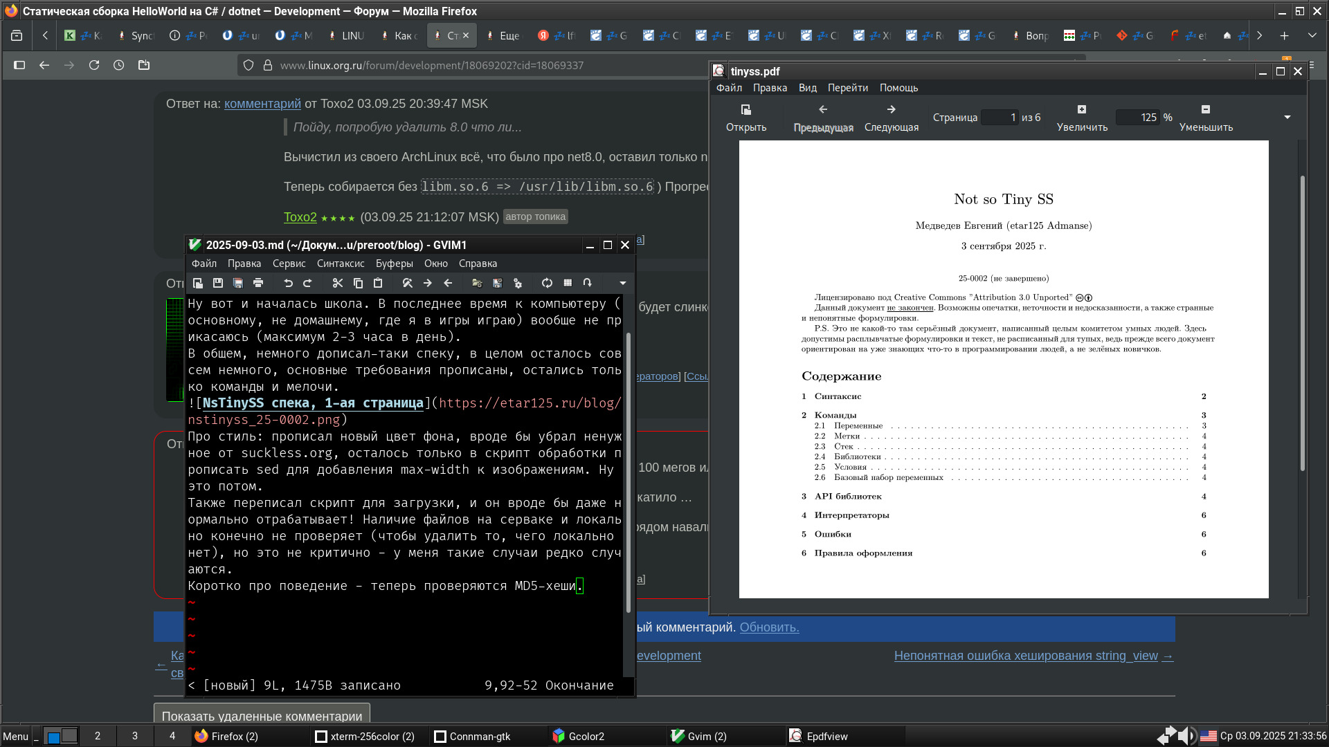 NsTinySS спека, 1-ая страница